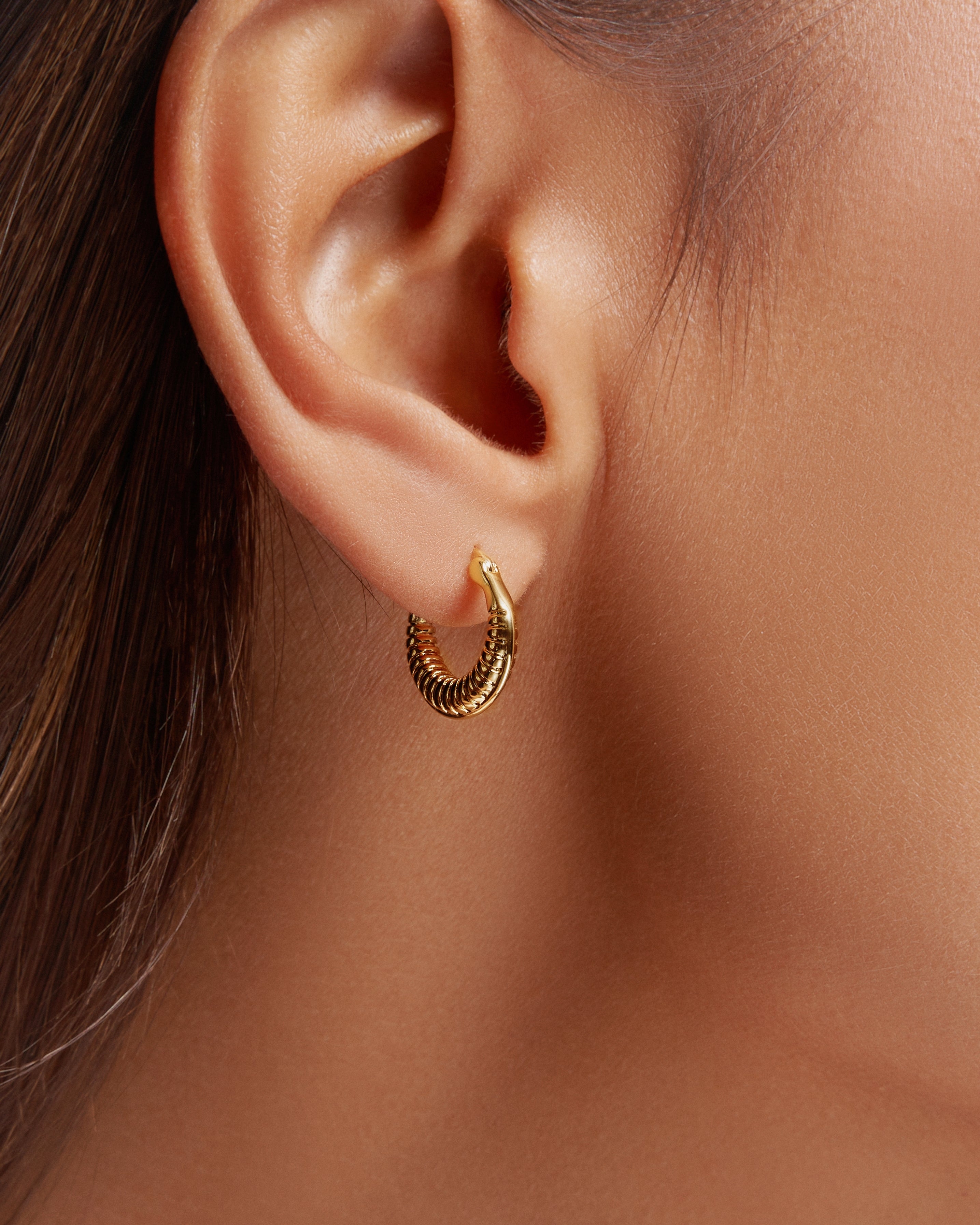 Timeless Mini Hoops