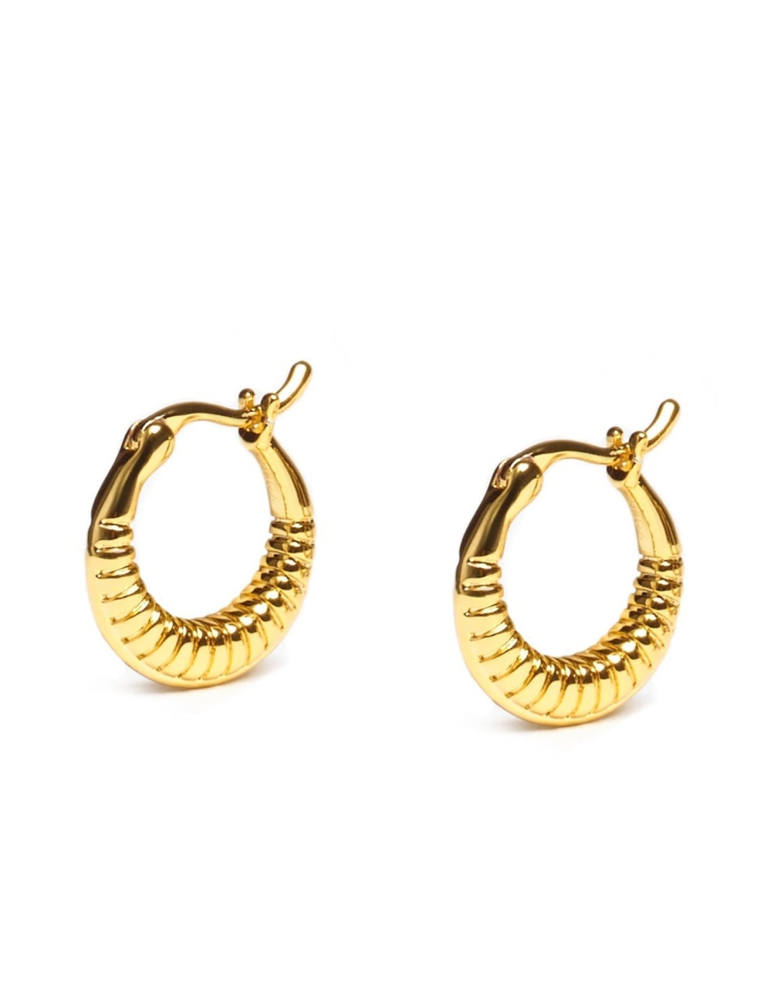 Timeless Mini Hoops